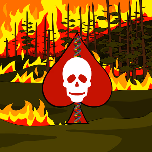 Item #108351031630289637415897530635651202870859629052616286877022309907062493020163 Media