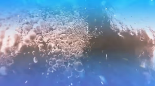 Item #91432175830589570902409758545023230591127682277750966987652460573222705823745 Media