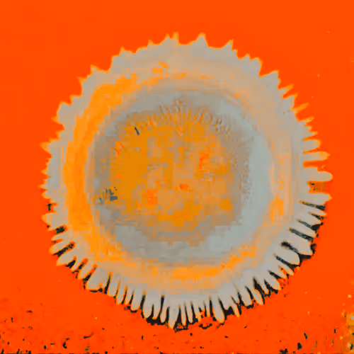 Item #4784811104091394596433299599418734801546949172415580233613544122494817927169 Media