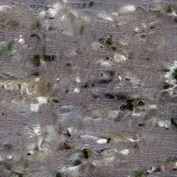 51505744279772251808310948570193708993242265706659681932624859493532925165569