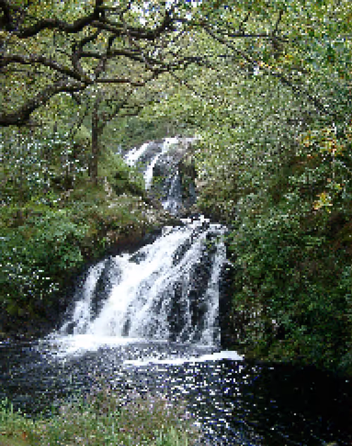 Item #77578914739546887048818332313932665161765433079396936366754535089881047105537 Media