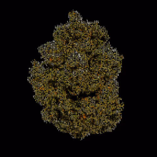 Item #73730562326191716881461757681999681561108071941178858700687942224268440371201 Media