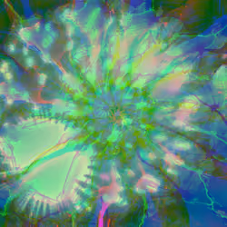Dream Flower