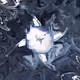 94705751605549952326462393104332366692676996624622212438213629368228825268225