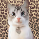 75457194886108443629750655022355317305433249571379046942976093978915923558410