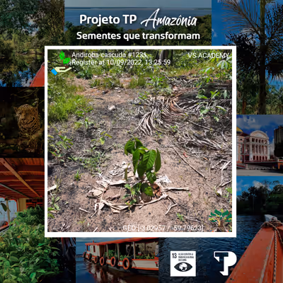 Item #8500196597889277390194123329501889087166328879864934763448348949060639522817 Media