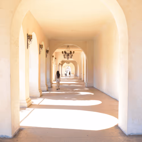 Untitled Collection #96925337