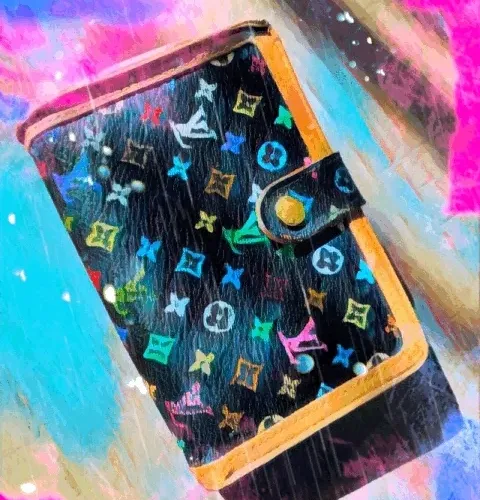 LV Multicolor Wallet 1