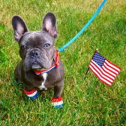 99031261785432219130552668818269695456905868997165113515571762400615091666945