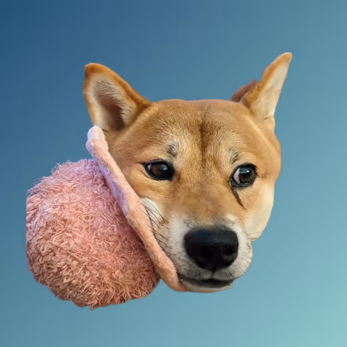 Item #75326874550880600326490188935567191876487813911489107474527429760986084540417 Media