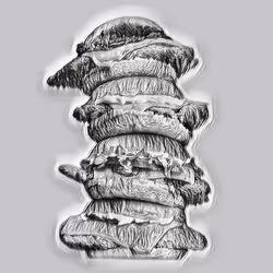 103021099077614825187577421930856695141498909813172536276445923599516012904449