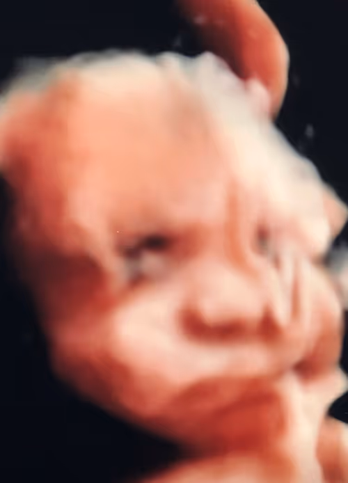 Item #83938965145290688333131566839986283562812055797412331449004213936041005940737 Media