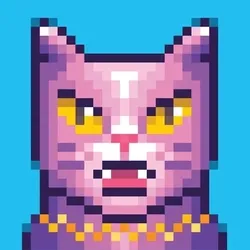 26110757708156568375671927706316500150689337426339433871251877965555516309604