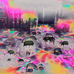 112737084990598472040396916941326143457452274756975196246212803054660921327617