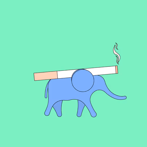 Item #87435475004866376307966411363400034245424899470255148685553619591548511453185 Media