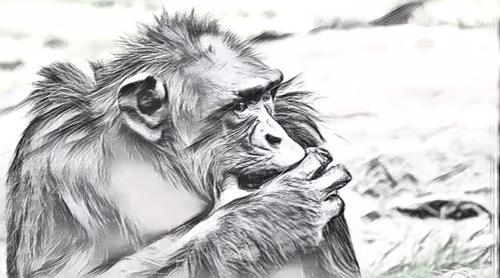 Item #54593652383459731767777383320415424164820202733853921615926635505730126348289 Media