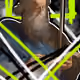 108068612310038845424156248939252158139132324406087761170219888358021857804289