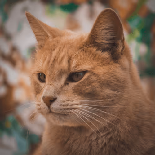 Item #108333172836631629328696584714053398631603269563571358519615745299821545652225 Media