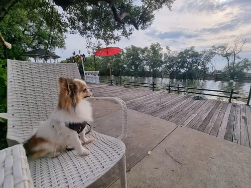 Untitled Collection #181326560