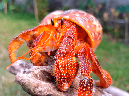 91920838516500969586140493576070920060778375503638515337937380307428804919297