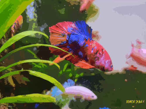 Item #74464285102539120175525880978246253166996374944805974491567127471116844531713 Media