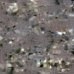 51505744279772251808310948570193708993242265706659681932624859491333901910017