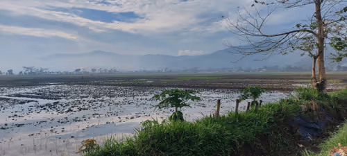 Item #6215051670993625285574223842342065104428012739143143179591220350602553851905 Media