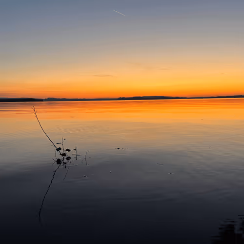 Untitled Collection #90287533