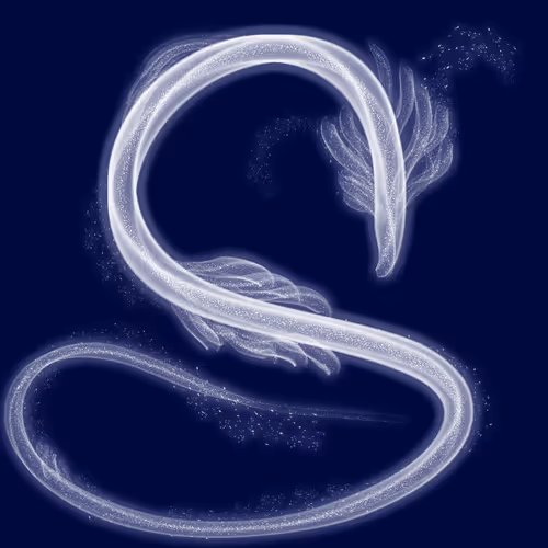 Item #79922358363691255321444568387952983801156131754257850446438884496020550451201 Media