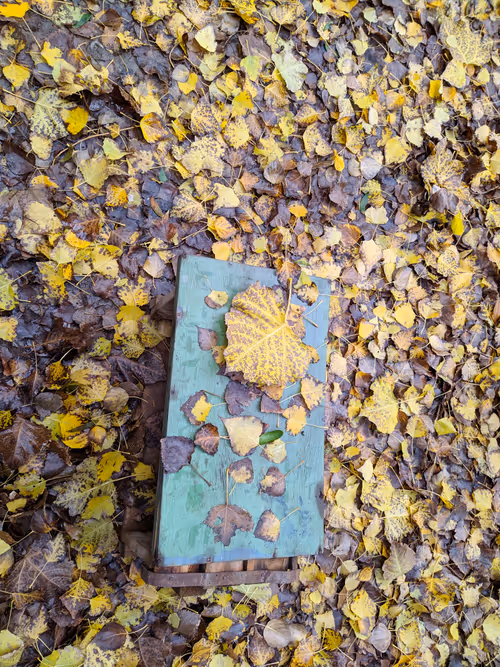 Item #41983459946325006344850038724007157971914249844141491949312563674072626495489 Media