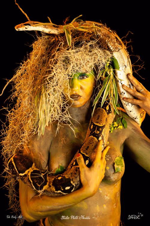 Item #22903998292597646636474096852405131883501866736470564428538884483632156639242 Media