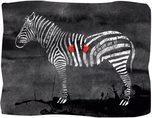 Item #19871692712474885114169863557694010048045485834789444562877105454607151136769 Media