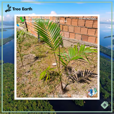 Item #8500196597889277390194123329501889087166328879864934763448349409756011560961 Media