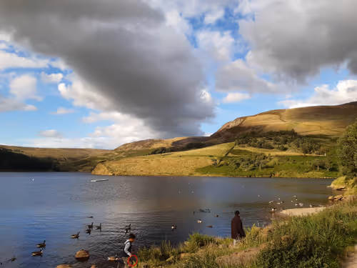 Untitled Collection #254625673