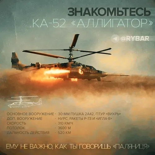 Item #42859009001016246632263995231491744008716163956391912516090367072547563896842 Media