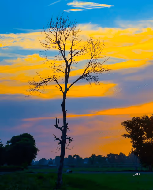 Item #9104047852343460824823657095955061139286762947505329334286274262086891601921 Media