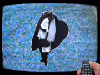 Item #36049036210915542891603514203013099125599246175484305955535372036760854855681 Media