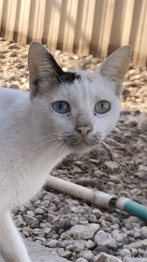 Item #31301981497752545307440882863008332911219029971545014543537925396227151626241 Media