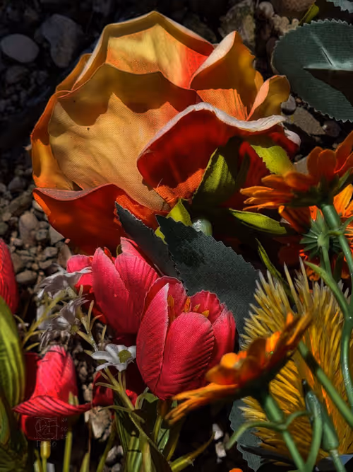 Item #72870681437103033302534611650972968841955188837135075508560703111522309636097 Media