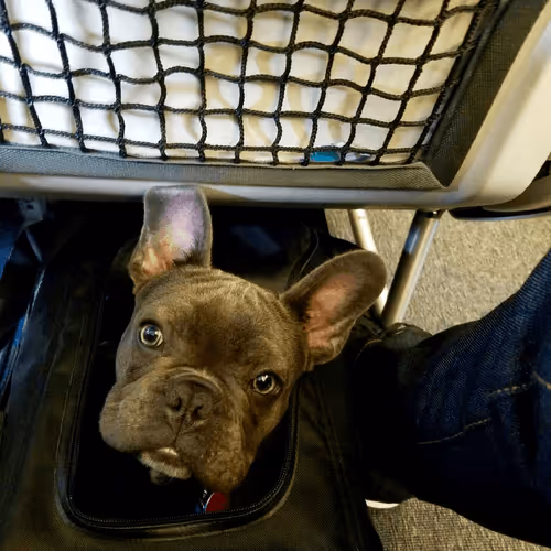 99031261785432219130552668818269695456905868997165113515571762358833649811457