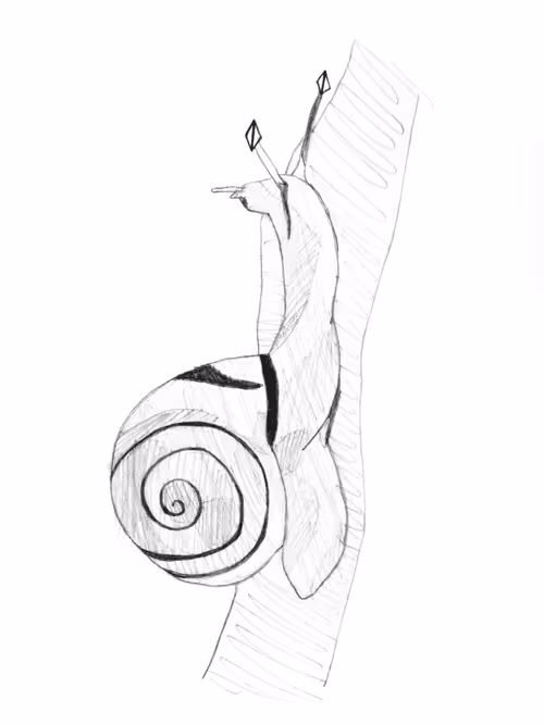 Item #21782199312368670970242189760663991903932470876849492131182457885742929543169 Media