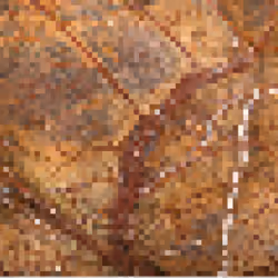 MarbleBit #9 | Rain Forest Brown