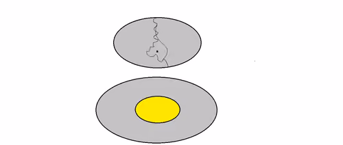 HALF FRY