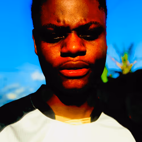 Untitled Collection #273428556