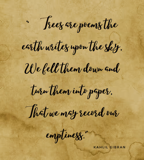 Item #74244561265385560548005883535502276132434054888589550816365993531561870360577 Media