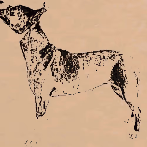 Item #23143313246472061328071561115701105421589606567298838424350448114852708745217 Media