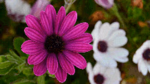 Item #75866091947728652238534111254584504918190435733442380629681527370242139881473 Media