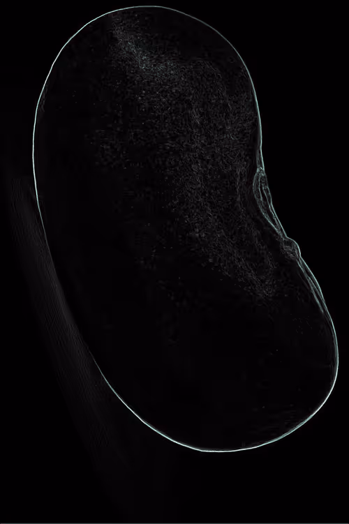 Item #28863644346887406121334048118409569741835316109588449396452983053858298134529 Media