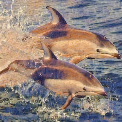 Item #39800324863389322776906793447436645107867592537882393143685198627797844623361 Media