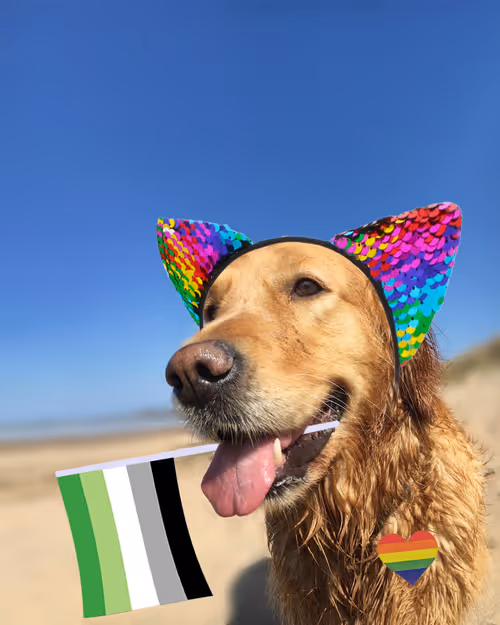 Item #26839399415497039076862880694069072006331525189107682525417321848956273033217 Media